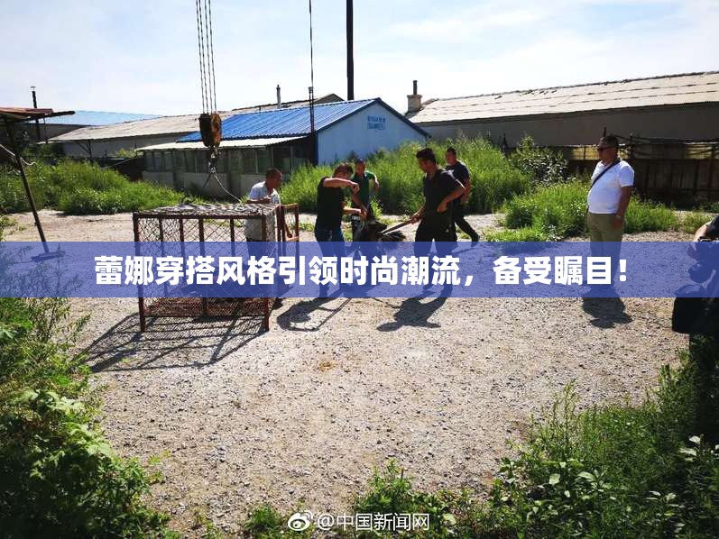 蕾娜穿搭风格引领时尚潮流，备受瞩目！
