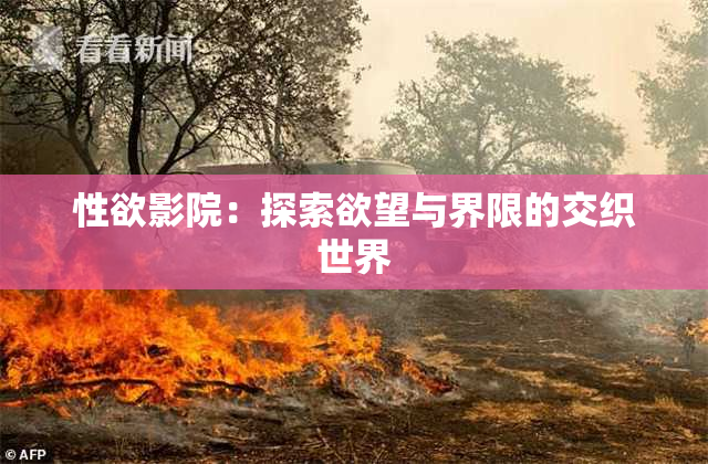 性欲影院：探索欲望与界限的交织世界