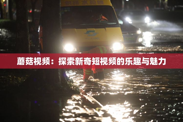 蘑菇视频：探索新奇短视频的乐趣与魅力
