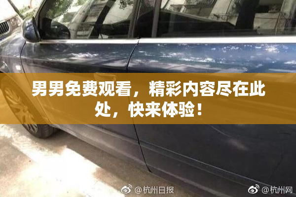 男男免费观看，精彩内容尽在此处，快来体验！