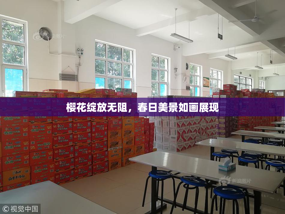 樱花绽放无阻，春日美景如画展现