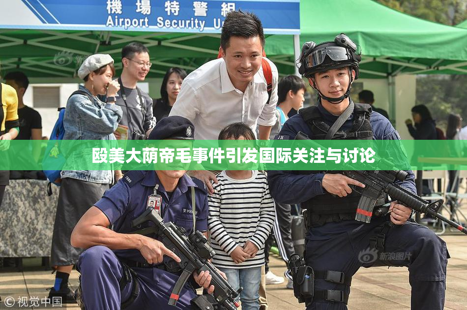 殴美大荫帝毛事件引发国际关注与讨论