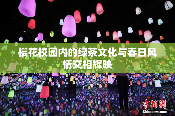 樱花校园内的绿茶文化与春日风情交相辉映