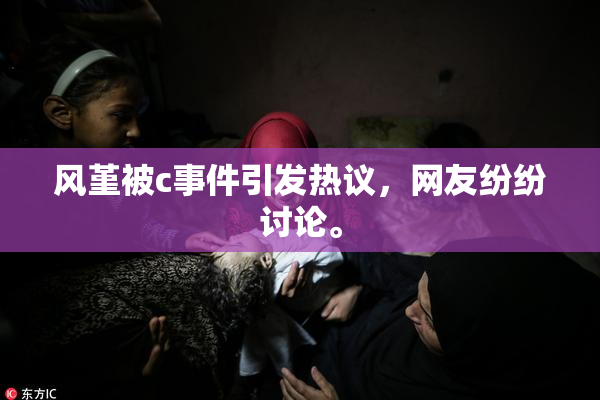 风堇被c事件引发热议，网友纷纷讨论。