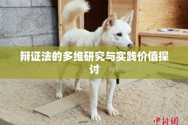辩证法的多维研究与实践价值探讨