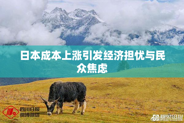 日本成本上涨引发经济担忧与民众焦虑