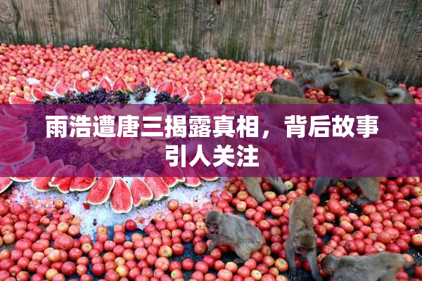 雨浩遭唐三揭露真相，背后故事引人关注