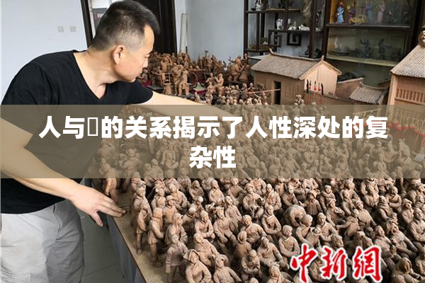 人与嘼的关系揭示了人性深处的复杂性