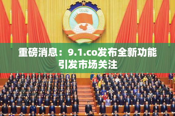 重磅消息：9.1.co发布全新功能引发市场关注