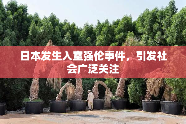 日本发生入室强伦事件，引发社会广泛关注