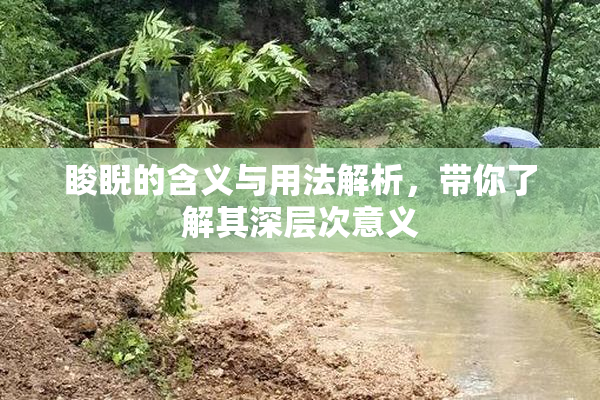睃睨的含义与用法解析，带你了解其深层次意义