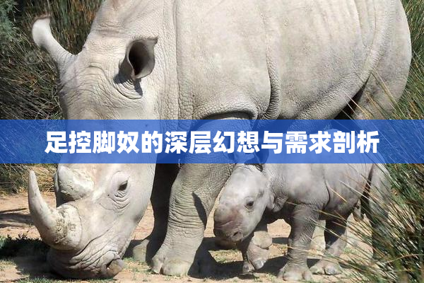 足控脚奴的深层幻想与需求剖析