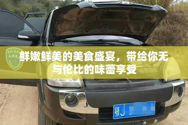 鲜嫩鲜美的美食盛宴，带给你无与伦比的味蕾享受