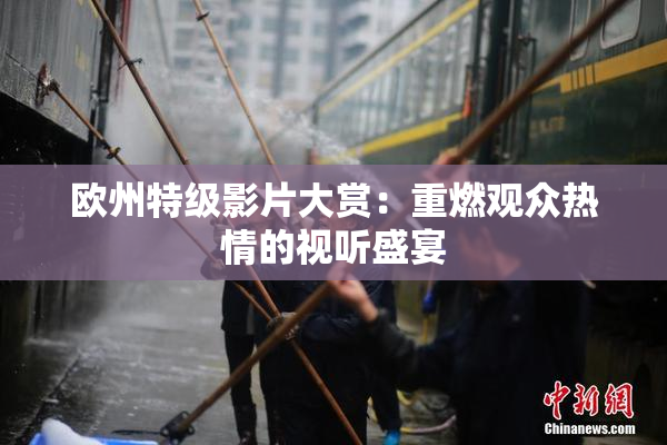 欧州特级影片大赏：重燃观众热情的视听盛宴