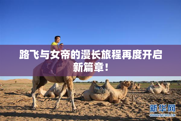 路飞与女帝的漫长旅程再度开启新篇章！
