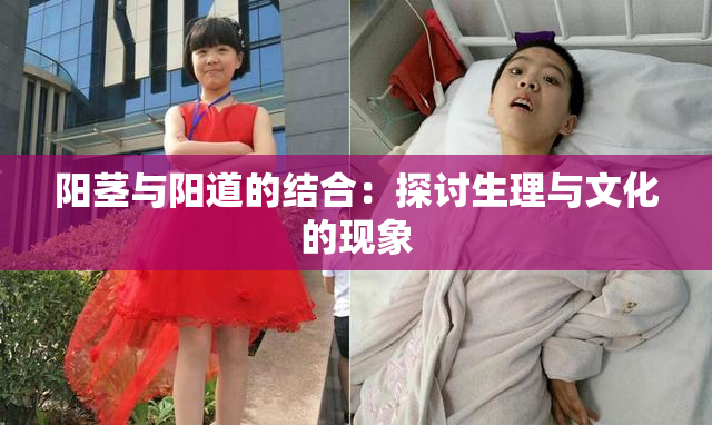 阳茎与阳道的结合：探讨生理与文化的现象