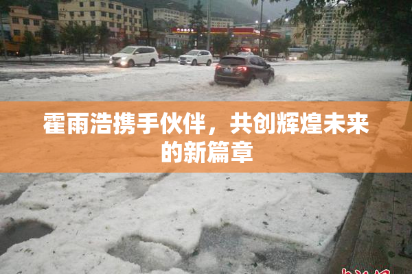 霍雨浩携手伙伴，共创辉煌未来的新篇章