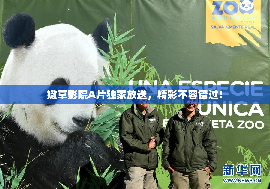 嫩草影院A片独家放送，精彩不容错过！