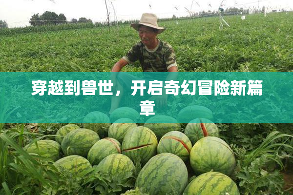 穿越到兽世，开启奇幻冒险新篇章
