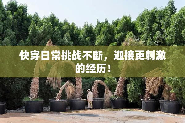 快穿日常挑战不断，迎接更刺激的经历！