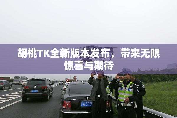 胡桃TK全新版本发布，带来无限惊喜与期待