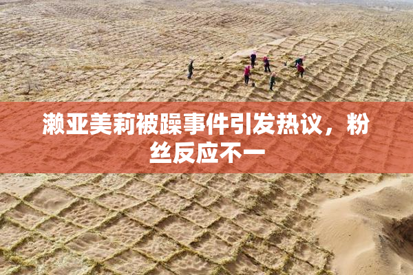 濑亚美莉被躁事件引发热议，粉丝反应不一