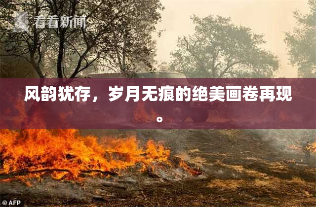 风韵犹存，岁月无痕的绝美画卷再现。