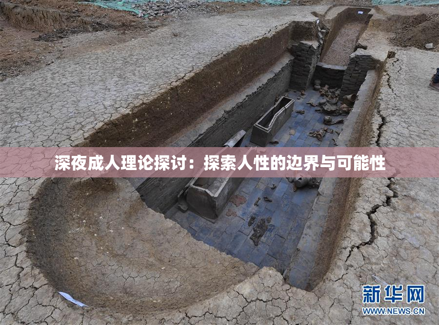 深夜成人理论探讨：探索人性的边界与可能性