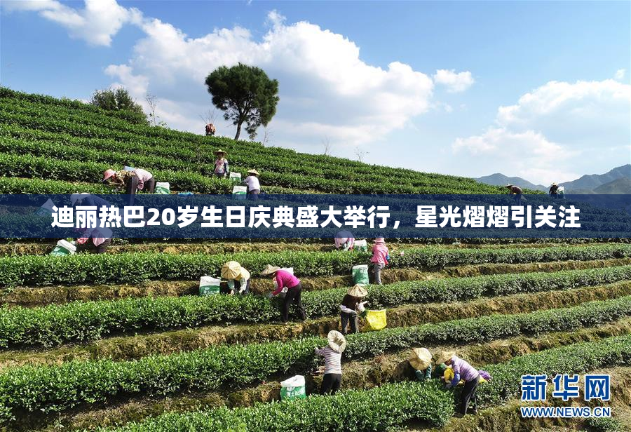 迪丽热巴20岁生日庆典盛大举行，星光熠熠引关注