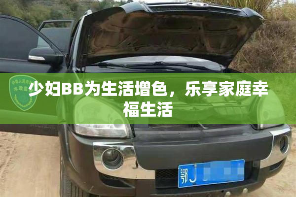 少妇BB为生活增色，乐享家庭幸福生活