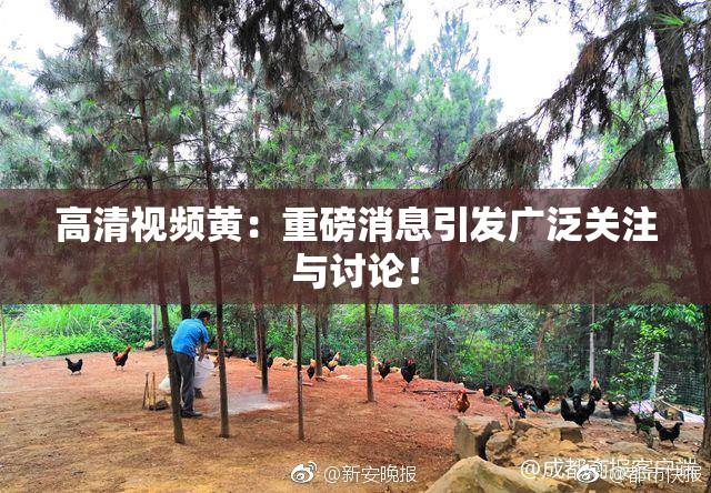高清视频黄：重磅消息引发广泛关注与讨论！