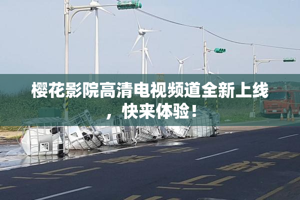 樱花影院高清电视频道全新上线，快来体验！