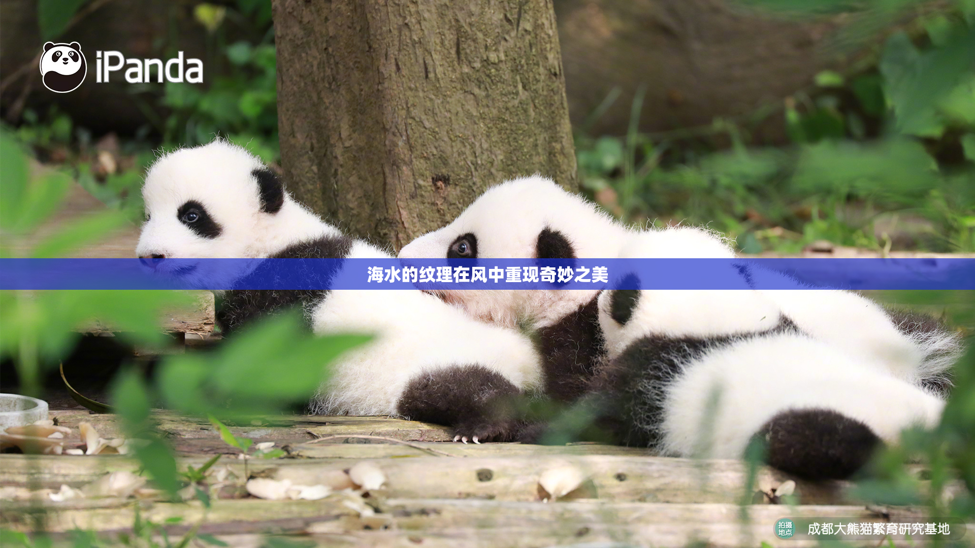 海水的纹理在风中重现奇妙之美