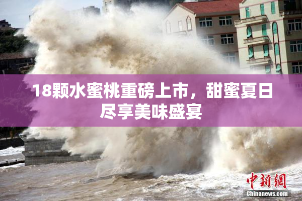 18颗水蜜桃重磅上市，甜蜜夏日尽享美味盛宴