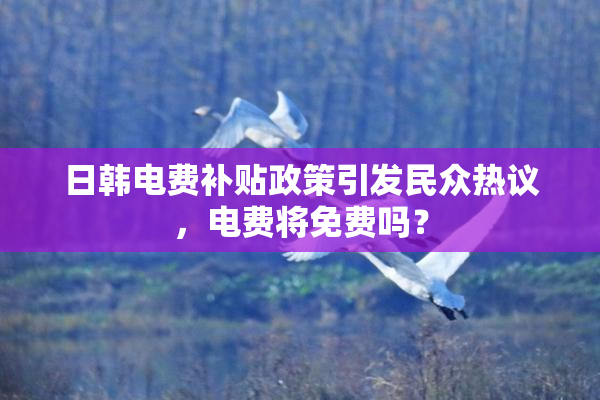 日韩电费补贴政策引发民众热议，电费将免费吗？