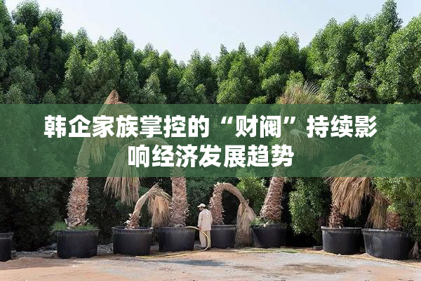 韩企家族掌控的“财阀”持续影响经济发展趋势