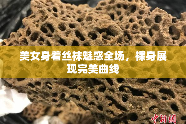 美女身着丝袜魅惑全场，裸身展现完美曲线
