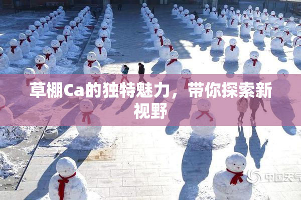 草棚Ca的独特魅力，带你探索新视野