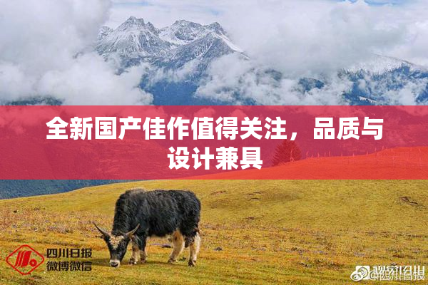 全新国产佳作值得关注，品质与设计兼具