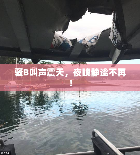 骚B叫声震天，夜晚静谧不再！