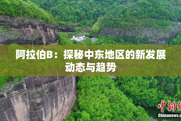 阿拉伯B：探秘中东地区的新发展动态与趋势