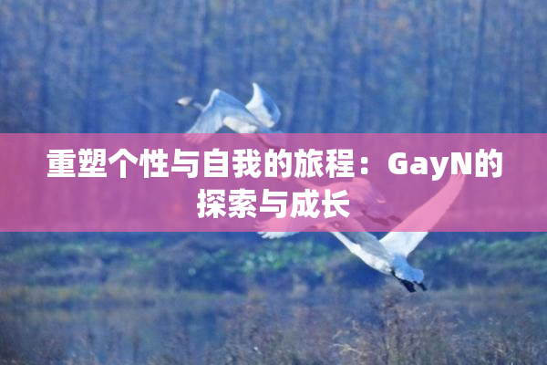重塑个性与自我的旅程：GayN的探索与成长