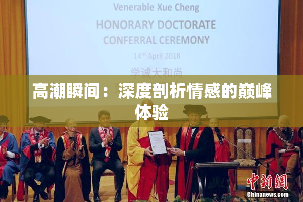 高潮瞬间：深度剖析情感的巅峰体验