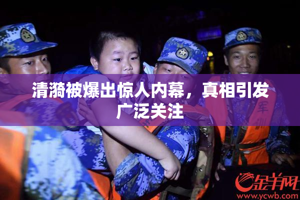 清漪被爆出惊人内幕，真相引发广泛关注
