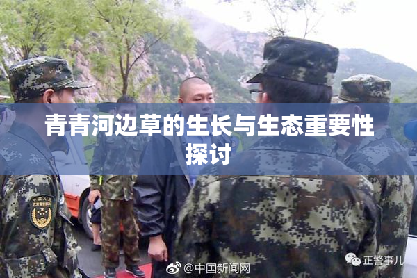 青青河边草的生长与生态重要性探讨