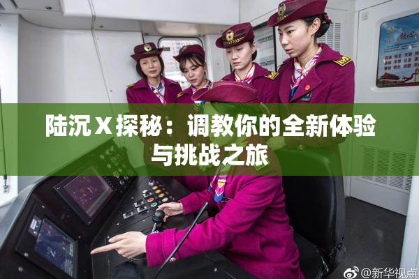 陆沉Ⅹ探秘：调教你的全新体验与挑战之旅