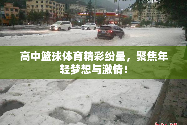 高中篮球体育精彩纷呈，聚焦年轻梦想与激情！