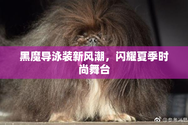 黑魔导泳装新风潮，闪耀夏季时尚舞台