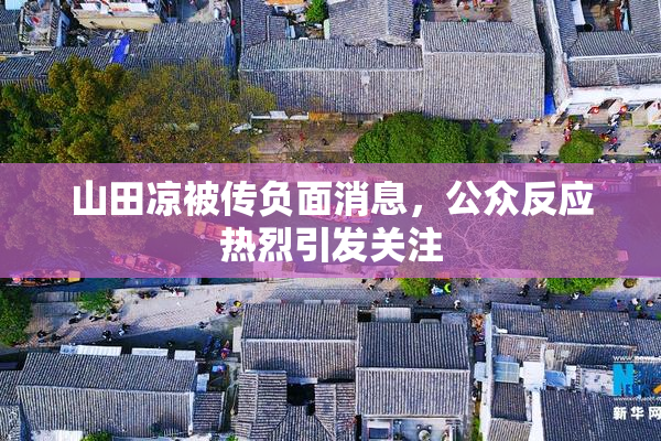 山田凉被传负面消息，公众反应热烈引发关注