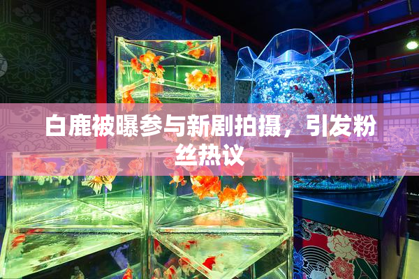 白鹿被曝参与新剧拍摄，引发粉丝热议